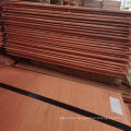 Cheap Copper Cathodes and Electrolytic Copper